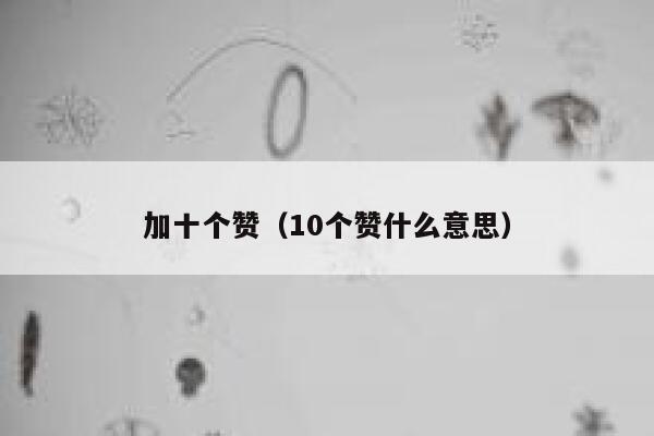 加十个赞（10个赞什么意思） 第1张