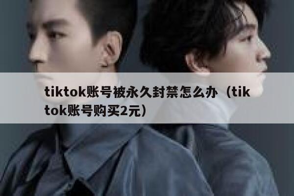 tiktok账号被永久封禁怎么办(tiktok账号购买2元) 第1张 tiktok账号被永久封禁怎么办(tiktok账号购买2元) 第1张