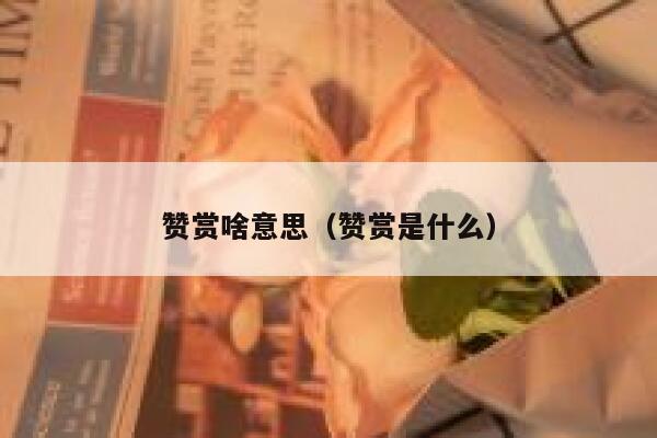 赞赏啥意思(赞赏是什么) 第1张 赞赏啥意思(赞赏是什么) 第1张