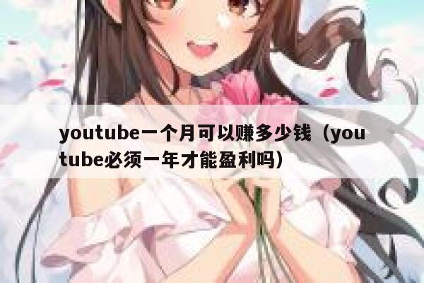 youtube一个月可以赚多少钱(youtube必须一年才能盈利吗) 第1张 youtube一个月可以赚多少钱(youtube必须一年才能盈利吗) 第1张