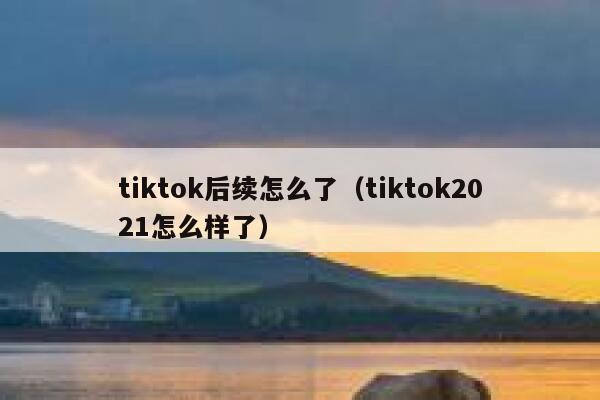 tiktok后续怎么了（tiktok2021怎么样了） 第1张