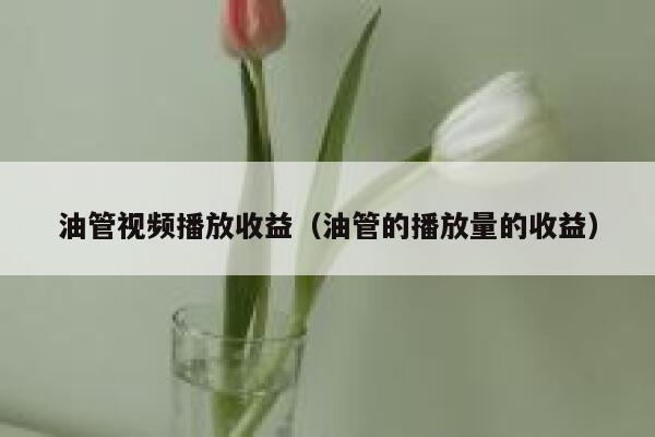 油管视频播放收益（油管的播放量的收益） 第1张