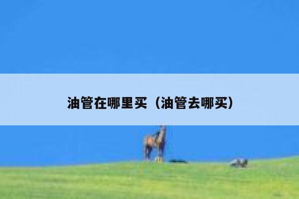 油管在哪里买（油管去哪买） 第1张