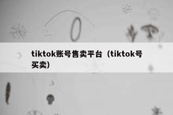 tiktok账号售卖平台（tiktok号买卖） 第1张