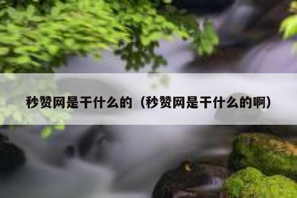 秒赞网是干什么的(秒赞网是干什么的啊) 第1张 秒赞网是干什么的(秒赞网是干什么的啊) 第1张