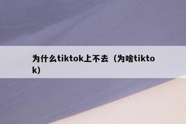 为什么tiktok上不去（为啥tiktok） 第1张