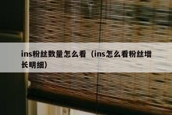 ins粉丝数量怎么看(ins怎么看粉丝增长明细) 第1张 ins粉丝数量怎么看(ins怎么看粉丝增长明细) 第1张