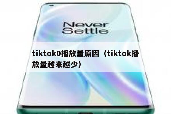 tiktok0播放量原因（tiktok播放量越来越少） 第1张