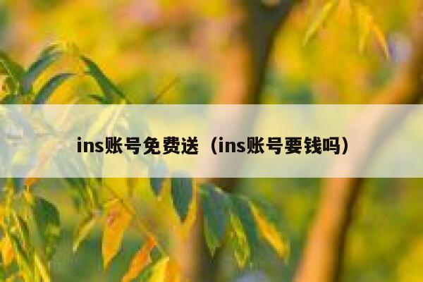 ins账号免费送（ins账号要钱吗） 第1张