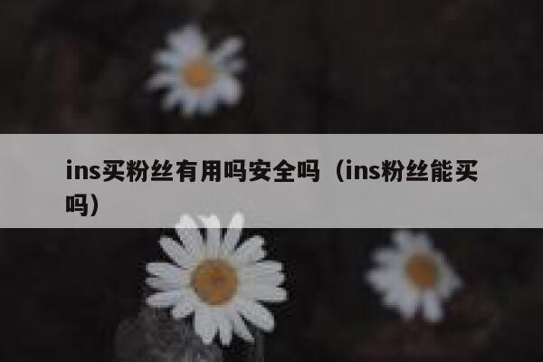 ins买粉丝有用吗安全吗（ins粉丝能买吗） 第1张