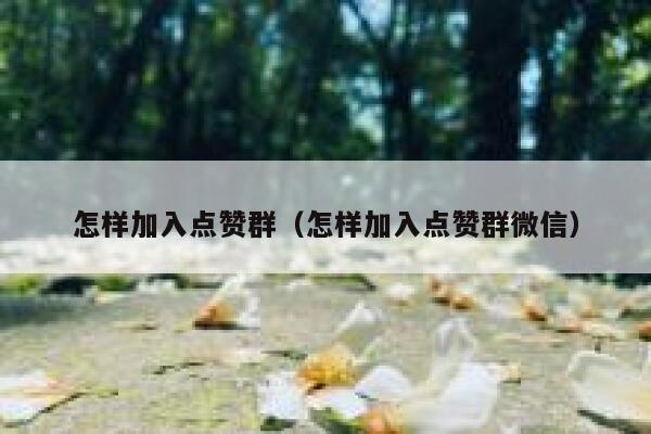 怎样加入点赞群(怎样加入点赞群微信) 第1张 怎样加入点赞群(怎样加入点赞群微信) 第1张
