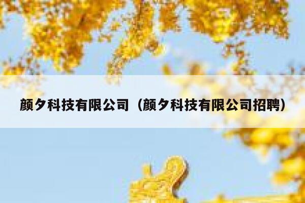 颜夕科技有限公司（颜夕科技有限公司招聘） 第1张