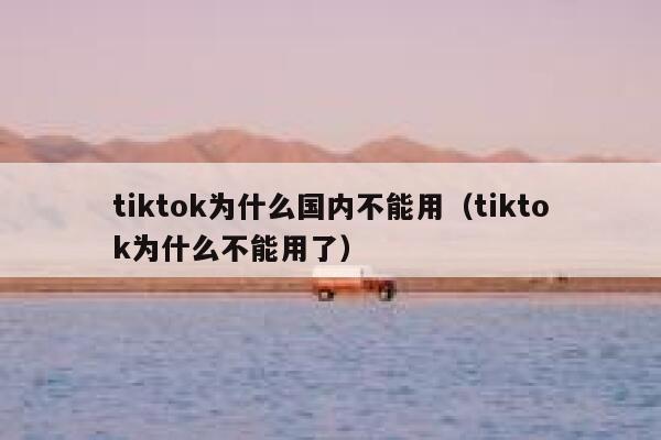 tiktok为什么国内不能用（tiktok为什么不能用了） 第1张