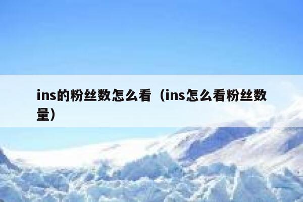 ins的粉丝数怎么看（ins怎么看粉丝数量） 第1张