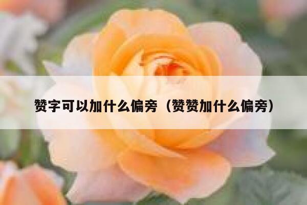 赞字可以加什么偏旁(赞赞加什么偏旁) 第1张 赞字可以加什么偏旁(赞赞加什么偏旁) 第1张