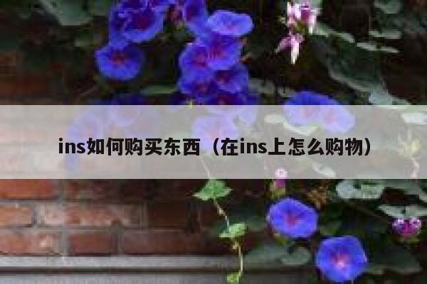 ins如何购买东西（在ins上怎么购物） 第1张