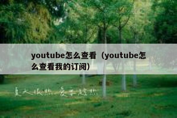 youtube怎么查看（youtube怎么查看我的订阅） 第1张