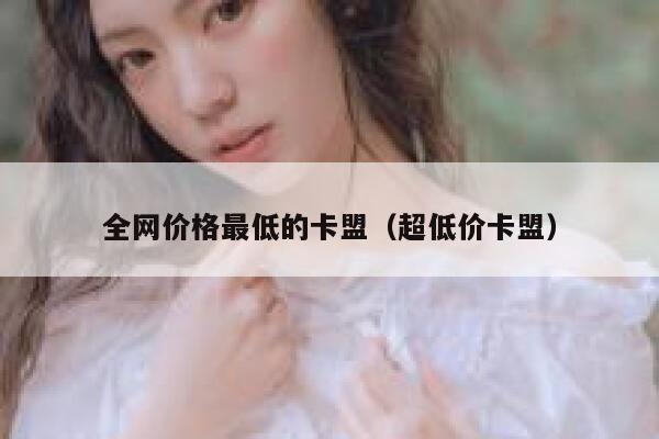 全网价格最低的卡盟（超低价卡盟） 第1张