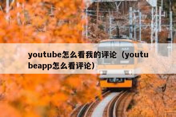 youtube怎么看我的评论（youtubeapp怎么看评论） 第1张