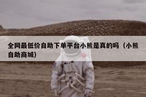 全网最低价自助下单平台小熊是真的吗（小熊自助商城） 第1张