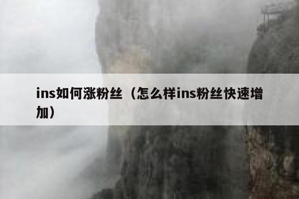 ins如何涨粉丝（怎么样ins粉丝快速增加） 第1张