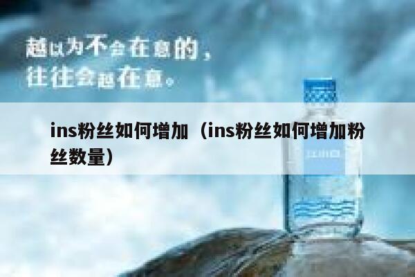 ins粉丝如何增加（ins粉丝如何增加粉丝数量） 第1张