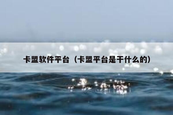 卡盟软件平台（卡盟平台是干什么的） 第1张