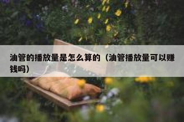 油管的播放量是怎么算的（油管播放量可以赚钱吗） 第1张