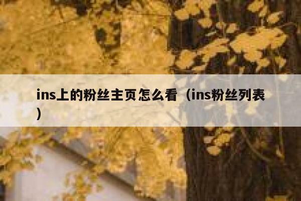 ins上的粉丝主页怎么看（ins粉丝列表） 第1张