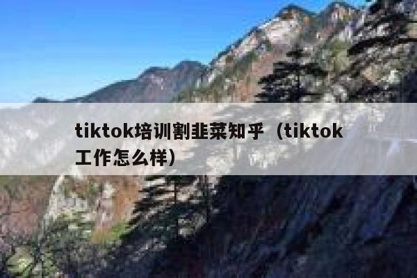 tiktok培训割韭菜知乎(tiktok工作怎么样) 第1张 tiktok培训割韭菜知乎(tiktok工作怎么样) 第1张