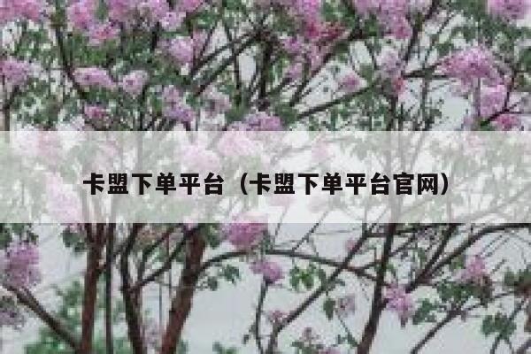 卡盟下单平台（卡盟下单平台官网） 第1张