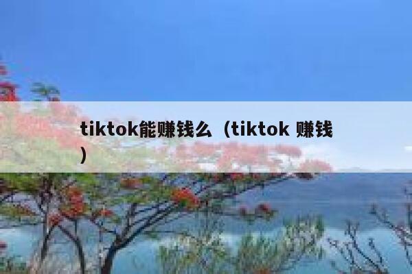 tiktok能赚钱么（tiktok 赚钱） 第1张