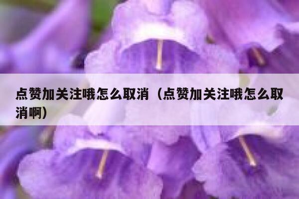 点赞加关注哦怎么取消(点赞加关注哦怎么取消啊) 第1张 点赞加关注哦怎么取消(点赞加关注哦怎么取消啊) 第1张