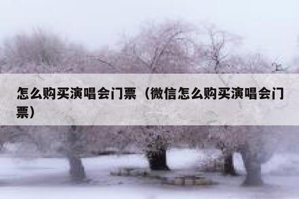 怎么购买演唱会门票(微信怎么购买演唱会门票) 第1张 怎么购买演唱会门票(微信怎么购买演唱会门票) 第1张