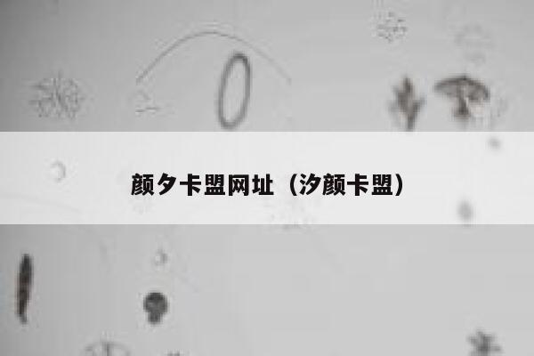 颜夕卡盟网址（汐颜卡盟） 第1张