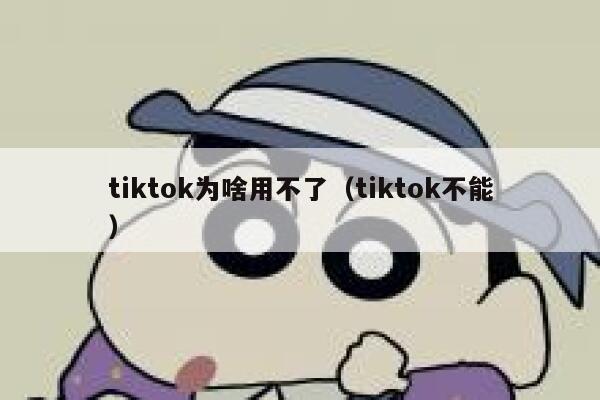tiktok为啥用不了（tiktok不能） 第1张