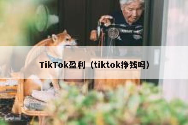 TikTok盈利（tiktok挣钱吗） 第1张