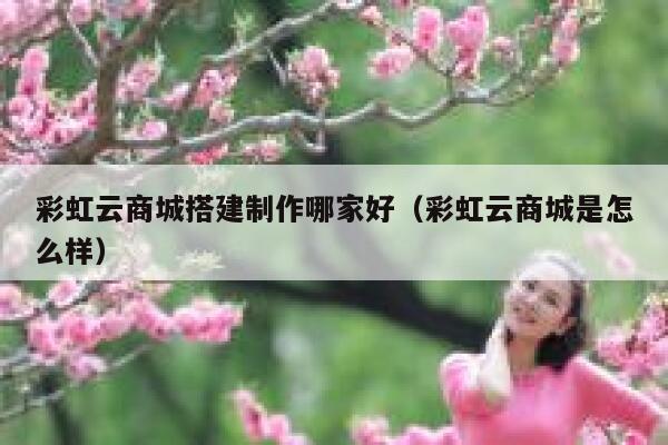 彩虹云商城搭建制作哪家好（彩虹云商城是怎么样） 第1张