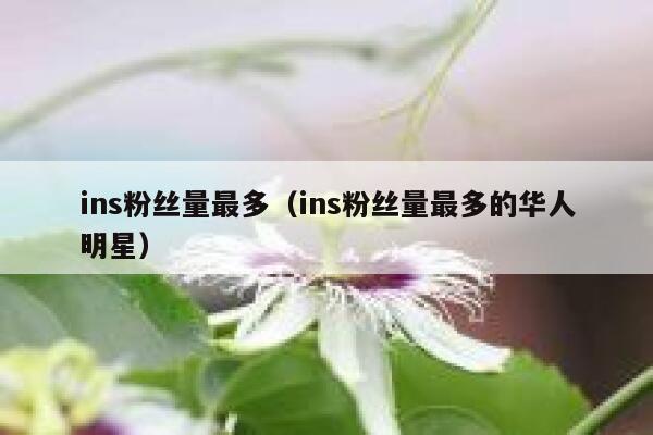 ins粉丝量最多（ins粉丝量最多的华人明星） 第1张