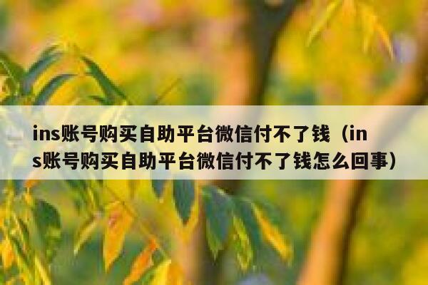 ins账号购买自助平台微信付不了钱(ins账号购买自助平台微信付不了钱怎么回事) 第1张 ins账号购买自助平台微信付不了钱(ins账号购买自助平台微信付不了钱怎么回事) 第1张
