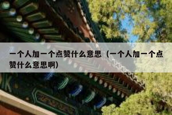 一个人加一个点赞什么意思（一个人加一个点赞什么意思啊） 第1张
