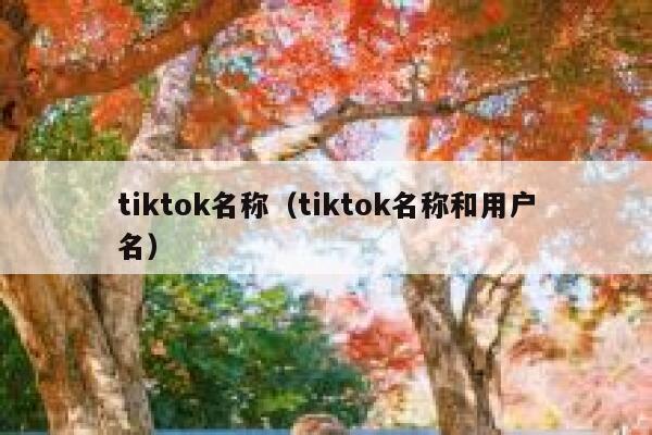 tiktok名称（tiktok名称和用户名） 第1张