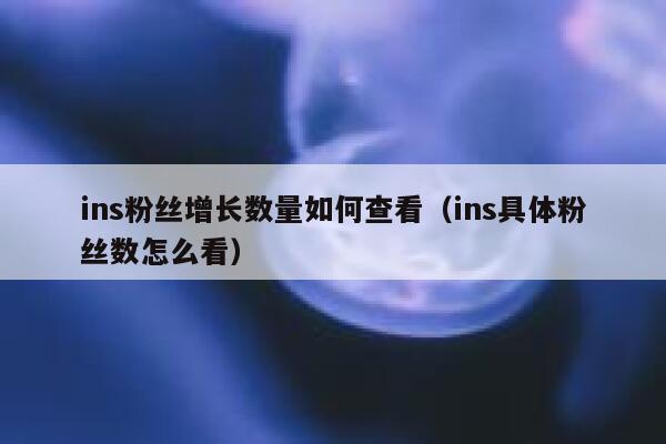 ins粉丝增长数量如何查看（ins具体粉丝数怎么看） 第1张