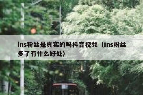 ins粉丝是真实的吗抖音视频（ins粉丝多了有什么好处） 第1张
