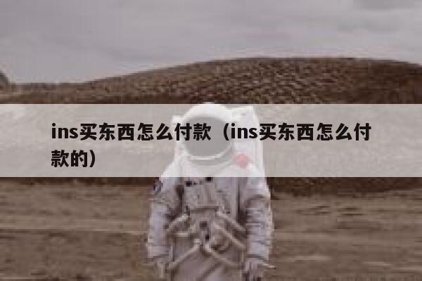 ins买东西怎么付款（ins买东西怎么付款的） 第1张