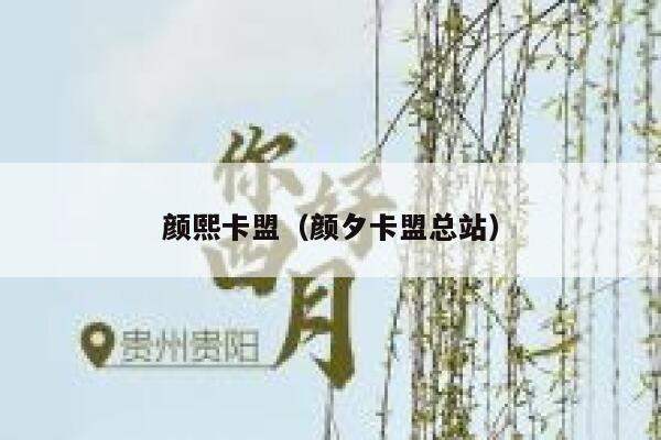 颜熙卡盟（颜夕卡盟总站） 第1张