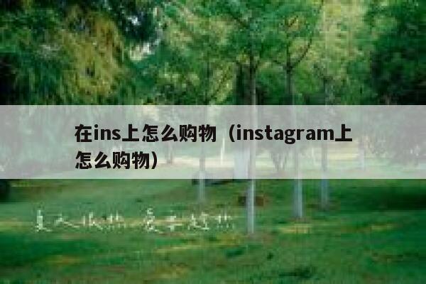在ins上怎么购物（instagram上怎么购物） 第1张