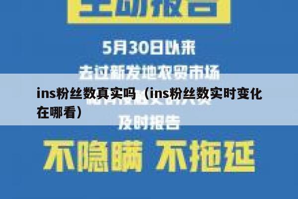 ins粉丝数真实吗（ins粉丝数实时变化在哪看） 第1张