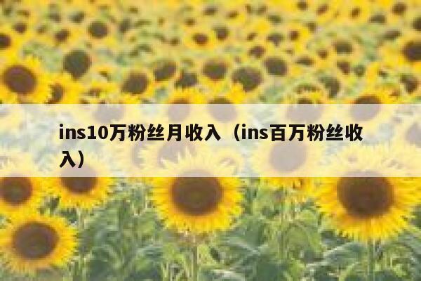 ins10万粉丝月收入（ins百万粉丝收入） 第1张