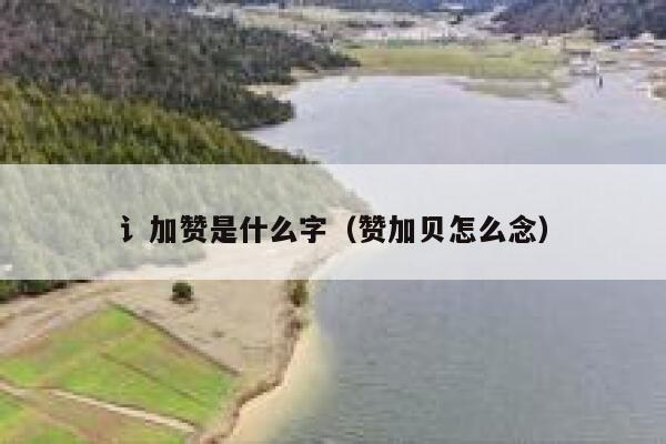 讠加赞是什么字(赞加贝怎么念) 第1张 讠加赞是什么字(赞加贝怎么念) 第1张